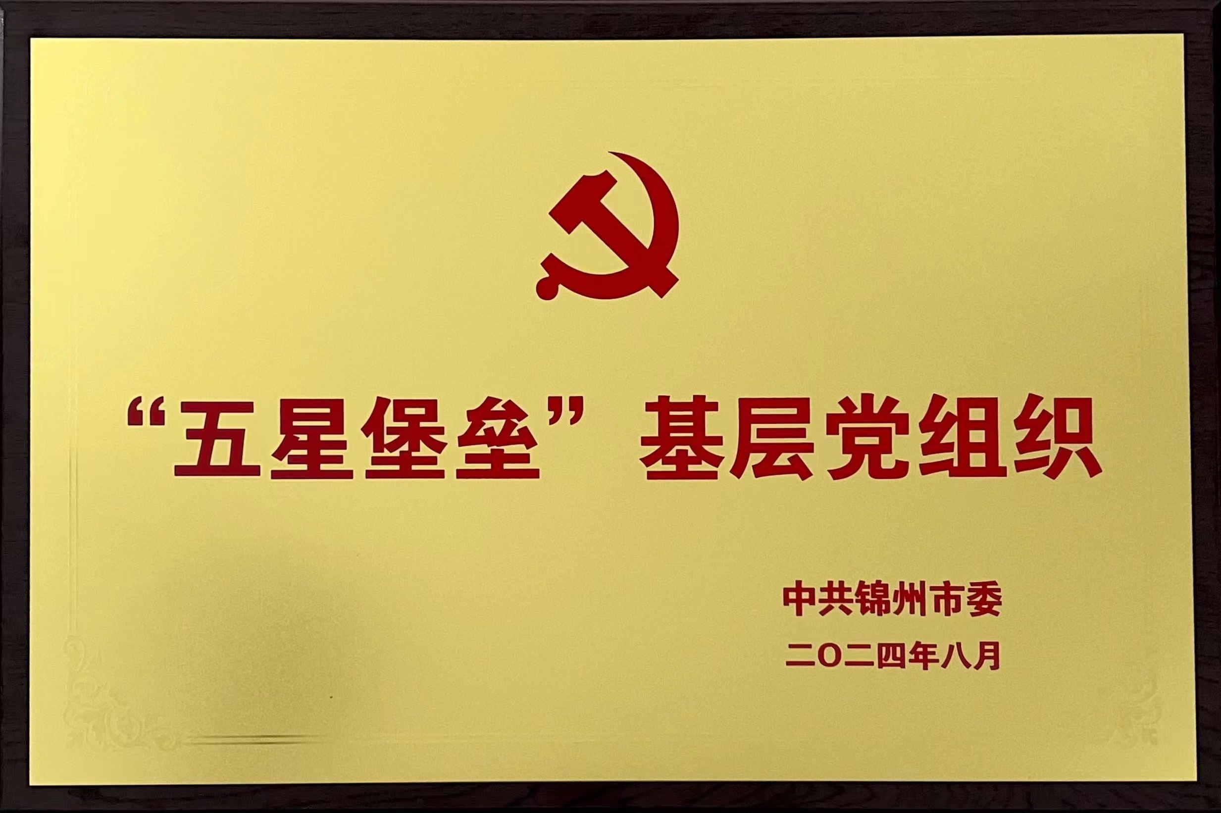 渤海潮涌黨旗紅  五星閃耀鑄輝煌——錦州市渤海中等職業(yè)技術(shù)學(xué)校黨支部獲評(píng)“五星堡壘”基層黨組織